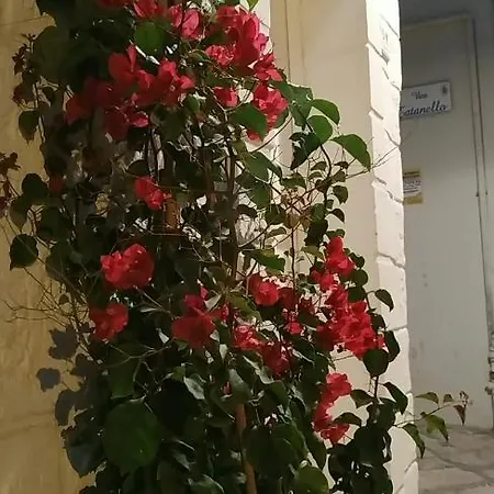 La Terrazza Di Gioia Monopoli